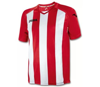 Игровая футболка Joma Pisa 12 Игровая футболка Joma Pisa 12