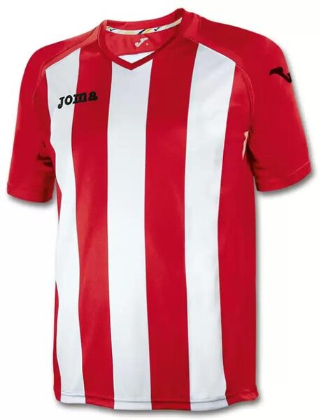 Купить Игровая футболка Joma Pisa 12 - оригинал, гарантия
