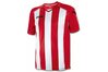 Купить Игровая футболка Joma Pisa 12 - оригинал, гарантия