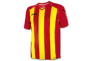 Игровая футболка Joma Pisa 12