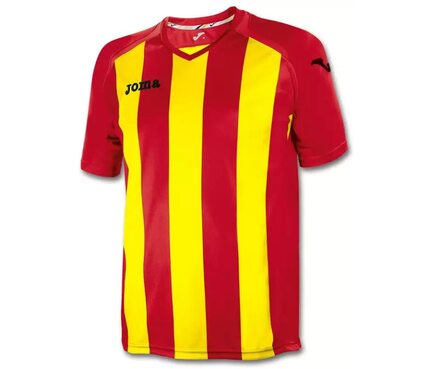 Игровая футболка Joma Pisa 12 Игровая футболка Joma Pisa 12