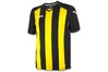 Купить Игровая футболка Joma Pisa 12 - оригинал, гарантия