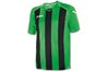 Купить Игровая футболка Joma Pisa 12 - оригинал, гарантия