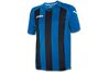 Купить Игровая футболка Joma Pisa 12 - оригинал, гарантия