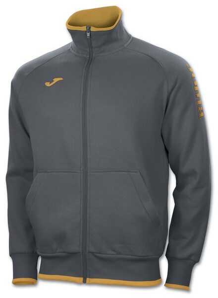 Купить Спортивная олимпийка Joma INVICTUS - оригинал, гарантия