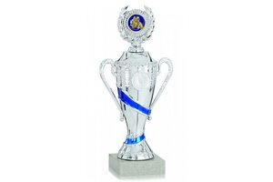Кубок K1 0711ZS с крышкой (h-21см) - medalsport