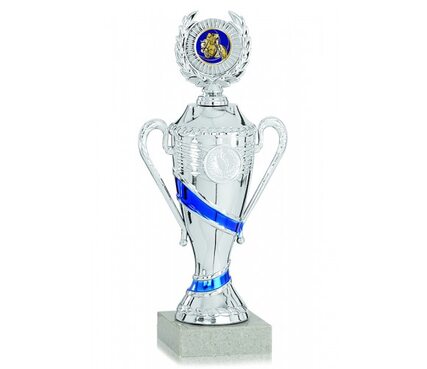 Кубок K1 0711ZS с крышкой (h-21см) - medalsport