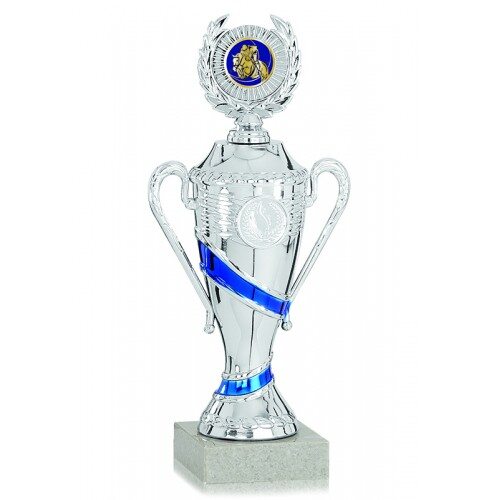 Кубок K1 0711ZS с крышкой (h-21см) - medalsport