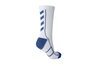 Купить Носки функциональные TECH INDOOR SOCK LOW - оригинал, гарантия