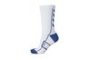 Купить Носки функциональные TECH INDOOR SOCK LOW - оригинал, гарантия