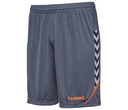 Шорты AUTH. CHARGE POLY SHORTS Шорты AUTH. CHARGE POLY SHORTS