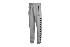 Штаны CLASSIC BEE AAGE PANTS